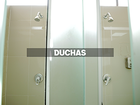 Duchas