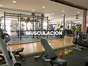 musculación