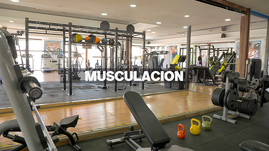 musculación